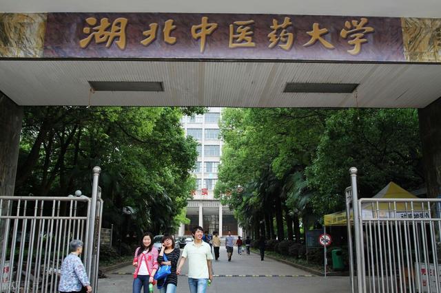 湖北省大学排名，湖北省大学排名榜一览表？